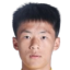J. Liu