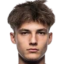 N. Grlić