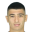 M. Ozkul
