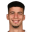 N. Vidojevic
