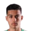 Davi Goes Silva Ferreira Carvalho
