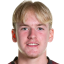 Harry Ibbitson