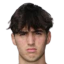 Luca Barani