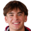 Josh Torquato