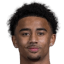 Jayden Lienou - Novinky