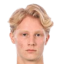 Andreas Redkin - Platy