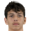 Giorgi Kavelashvili