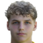 Tim Van Der Leij