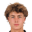 Merijnvandewiel