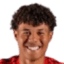 Kamil Efraim Castillo Reynoso - Trofeje