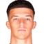 T. Muharemovic