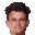 R. Nicolaisen