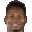 H. Diallo