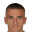 N. Cvetković