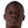 M. Sarr