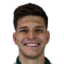 Pedro Henrique Perotti