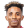 G. Fernandes