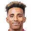 Gedson Fernandes