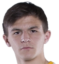 V. Shvyrev