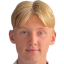 Anders Hartveit - Trofeje