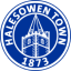 Halesowen Town - Program