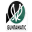 SV Ried