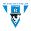 FK Graffin Vlašim
