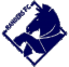 Randers FC