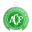 Chapecoense - SC