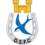 Dungannon Swifts