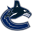Vancouver Canucks