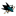 San Jose Sharks
