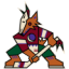 Arizona Coyotes - Program