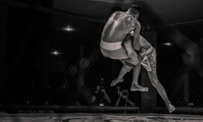 mma 2 zdroj pixabay.com