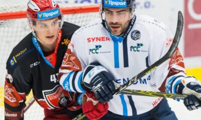 mountfield hradec králové, bílí tygři liberec, hokej, extraliga