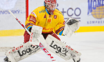 Henri Kiviaho, hradec králové