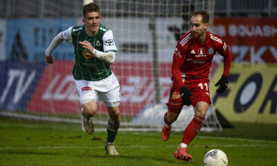 libor-holik_hostovani_web-nahled