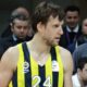 jan veselý, fenerbahce basket