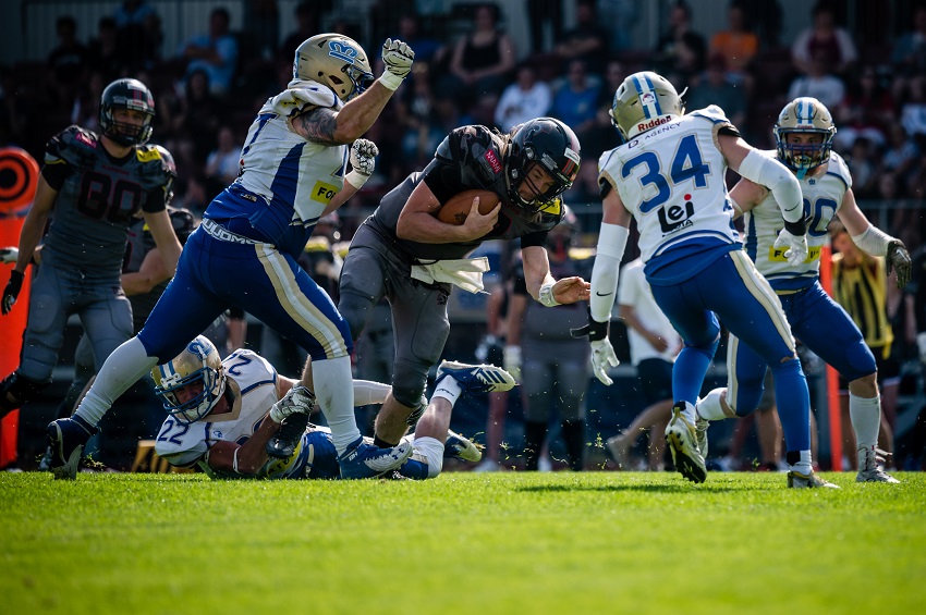 vysočina gladiators