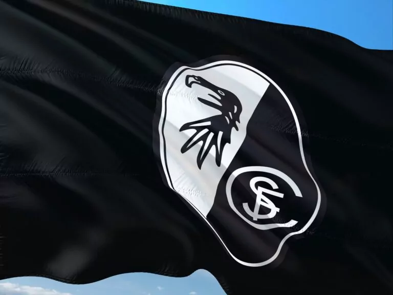 Představení týmů Bundesligy: Freiburg podepsal čtyři hráče se zkušenostmi z Bundesligy a připravuje se na Evropskou ligu