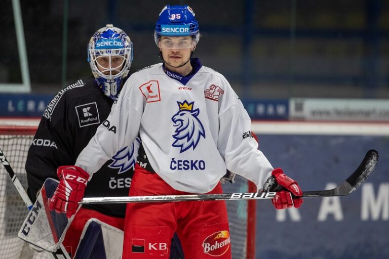 AHL All-Star Game 2024 v San Jose se zúčastnili 2 čeští útočníci. Hodně vidět byl především Matěj Blümel