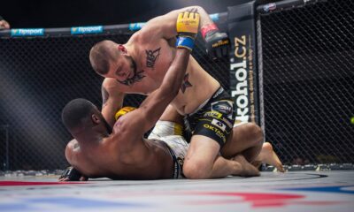 zdeněk polívka, oktagon