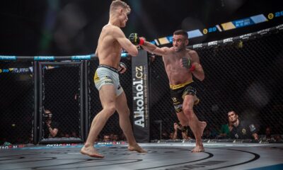 filip macek, jonas magard