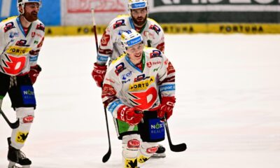 dynamo české budějovice