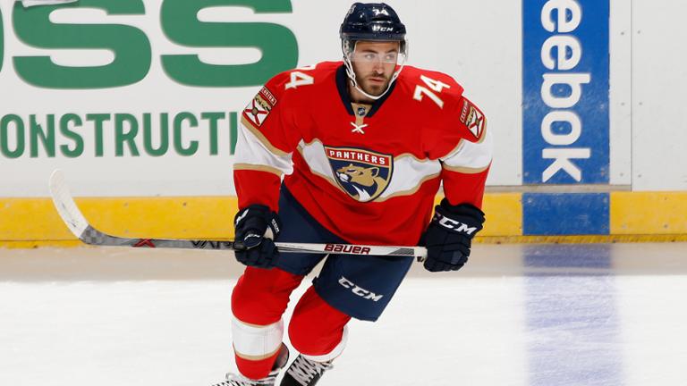 florida panthers