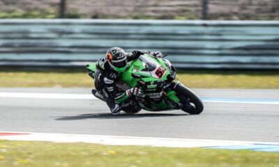 Oliver Konig puma temper