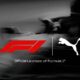 puma F1 temper