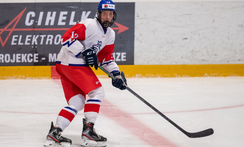 Eduard Šalé, česká hokejová reprezentace