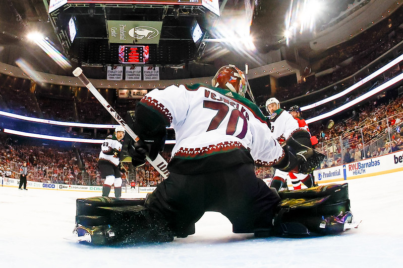 Vejmelka Arizona Coyotes