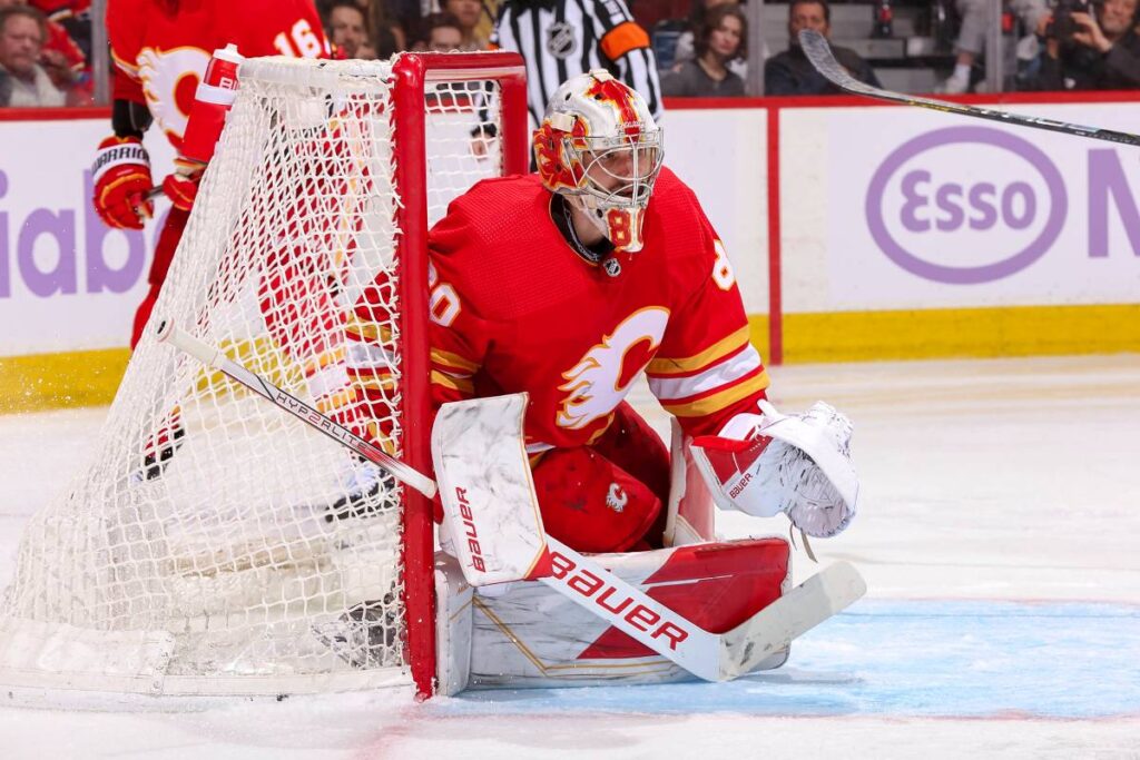 Vladar, NHL, Calgary Flames